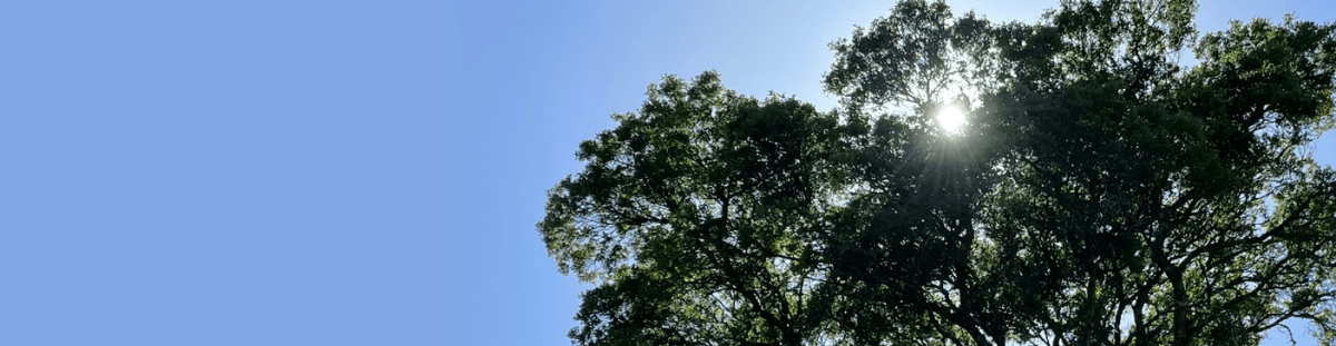 Building ESG ‘aware’ Supply Chains – An Implementation First&nbsp;Approach